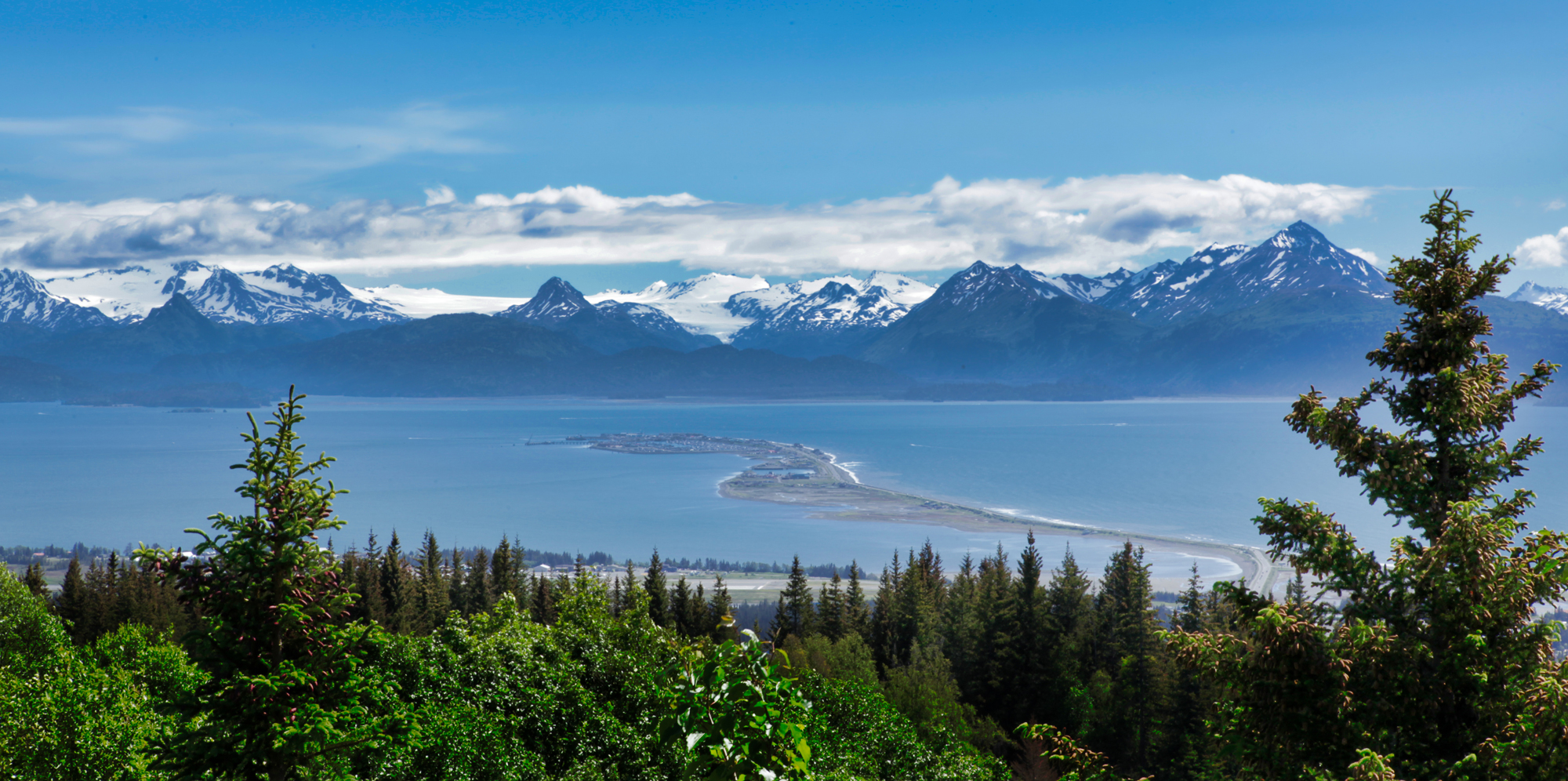 About Homer, Alaska Alaskan Fishing Paradise